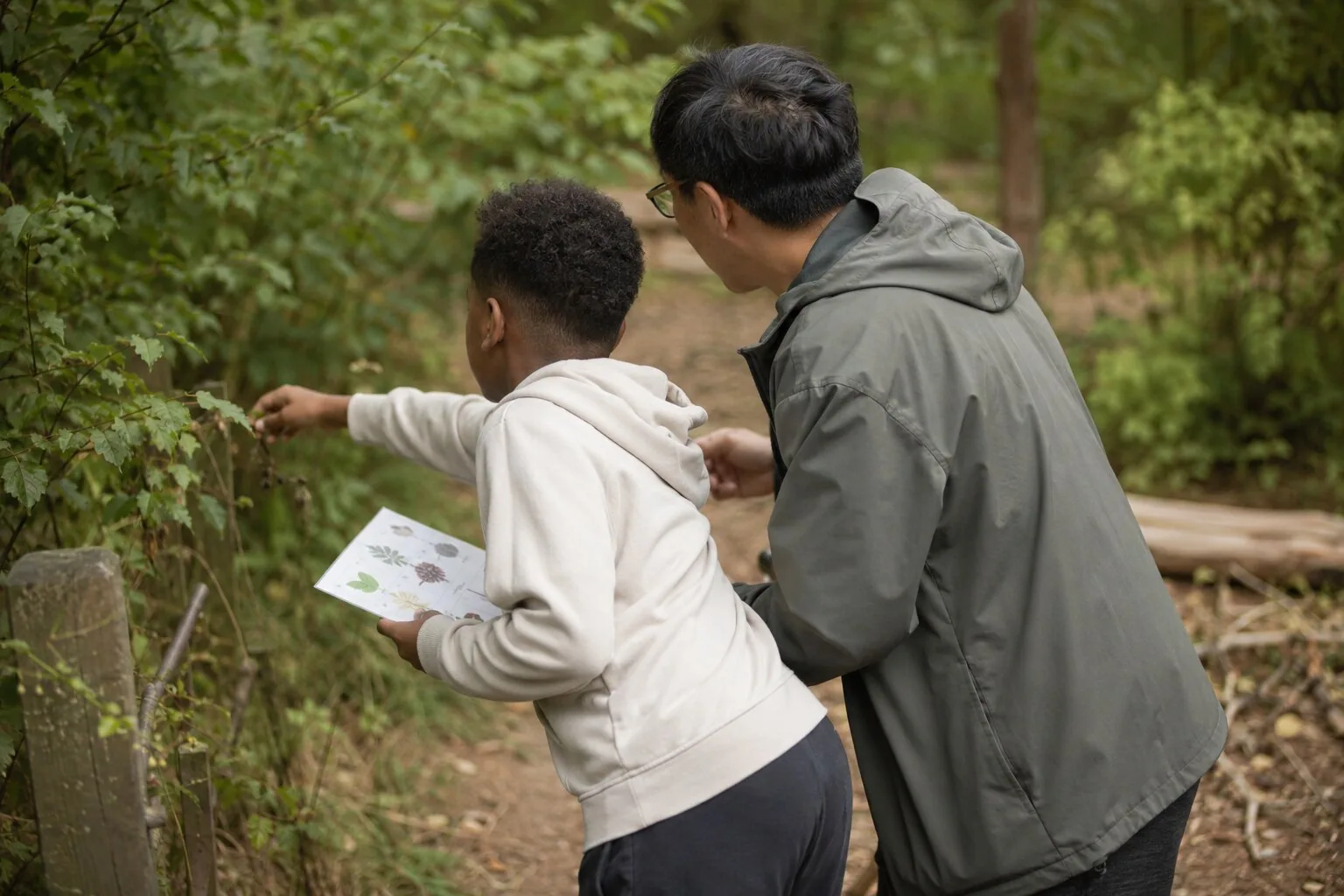 An adult and a child looking closely at a tree on a woodland walk