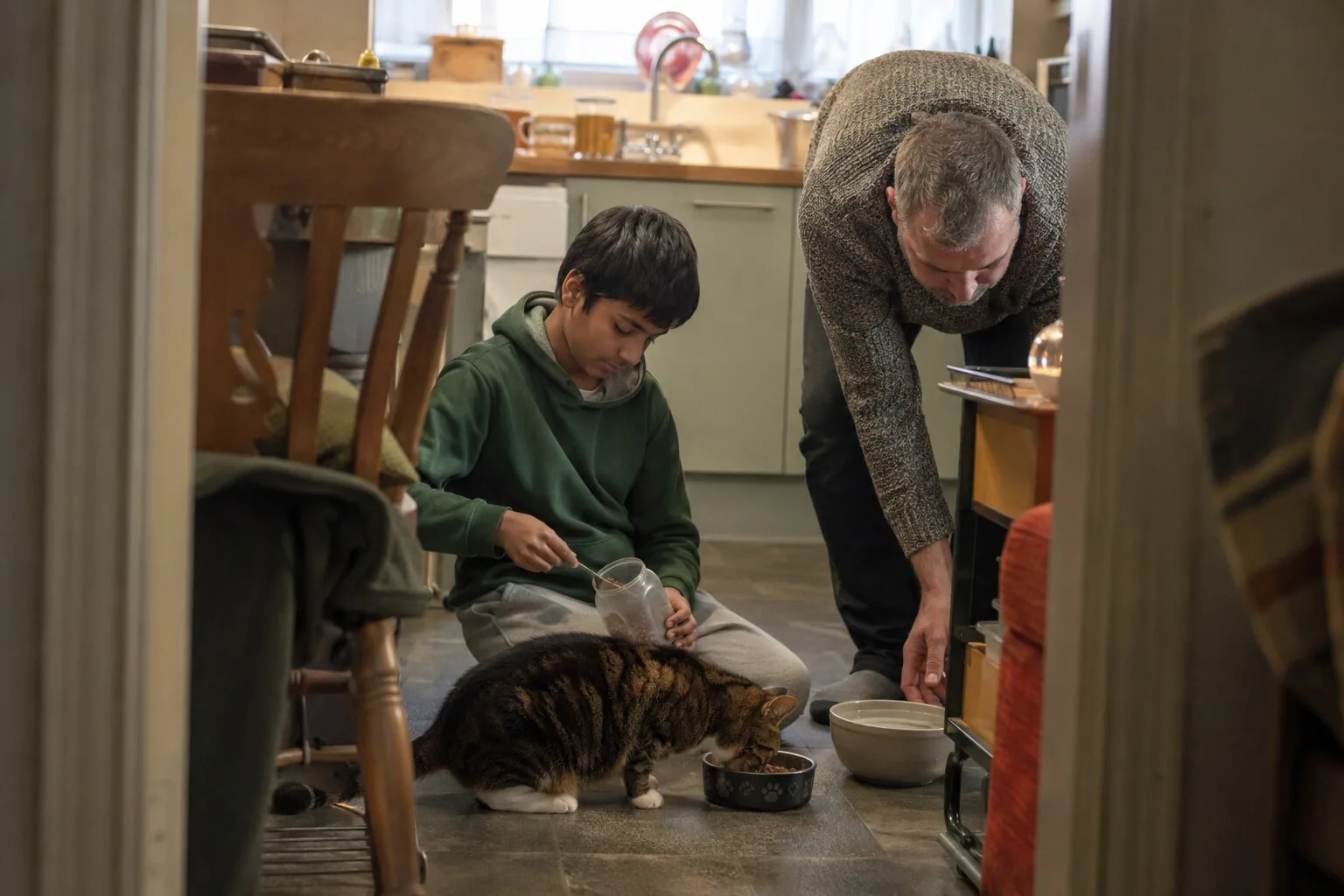 An adult and a child caring for their cat together
